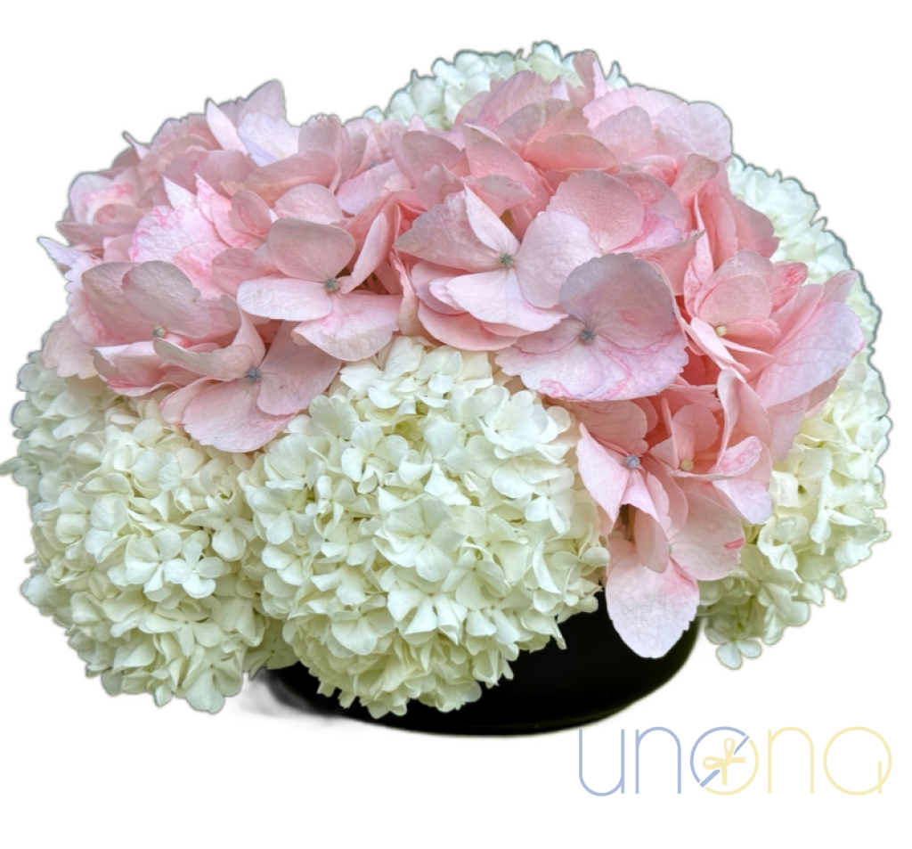 Hydrangea arrangement for delivery in Ukraine 