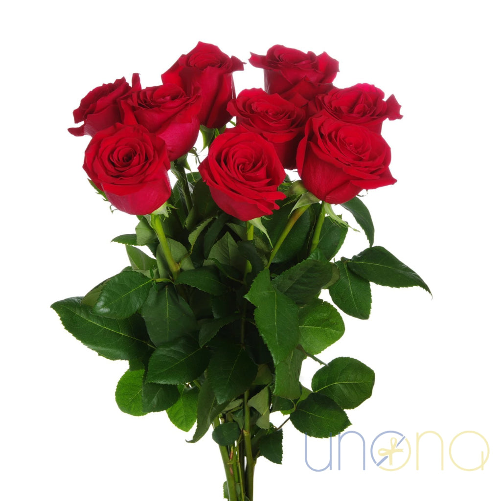 I Love You bouquet with 9 fabulous red roses delivery in Ukraine
