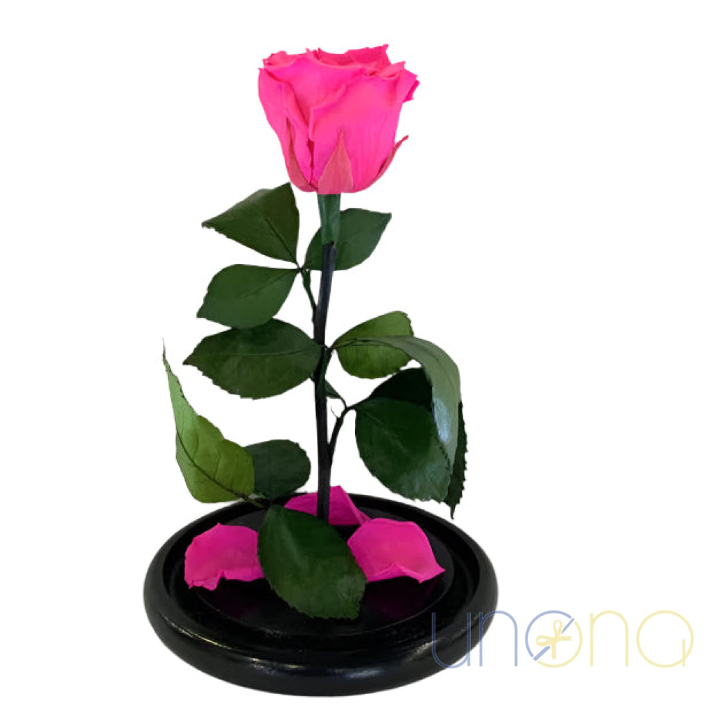 Long-Lasting Rose in a Flask Fuchsia By Holidays