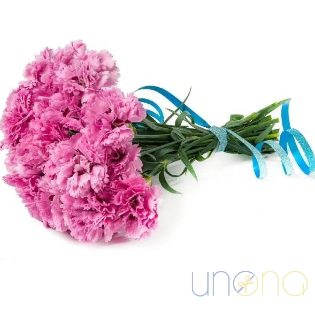 Lovely 21 Carnations bouquet with fresh pink carnation flowers