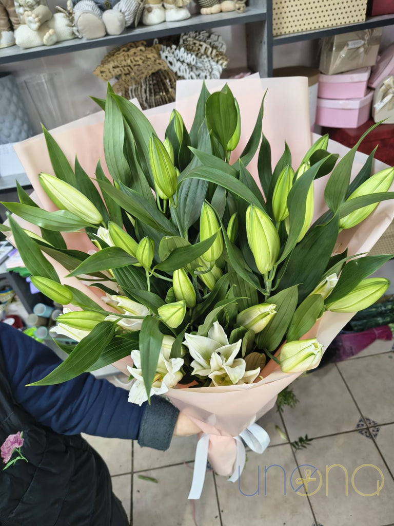 Lovely Lilies Flowers