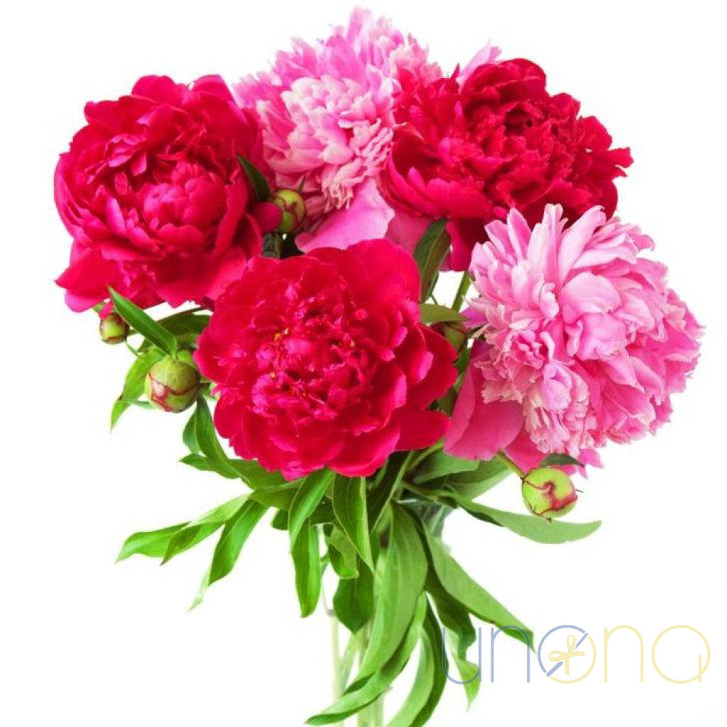 Lovely Peonies Bouquet | Ukraine Gift Delivery.