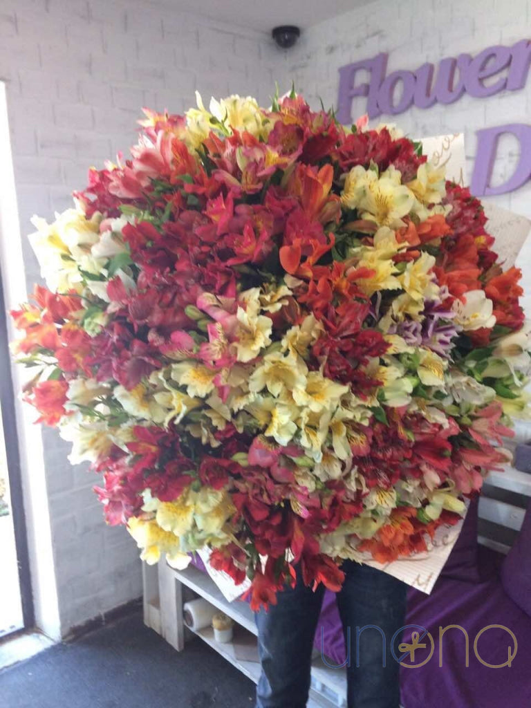 Multicolored alstroemerias bouquet in yellow, pink & red Lviv