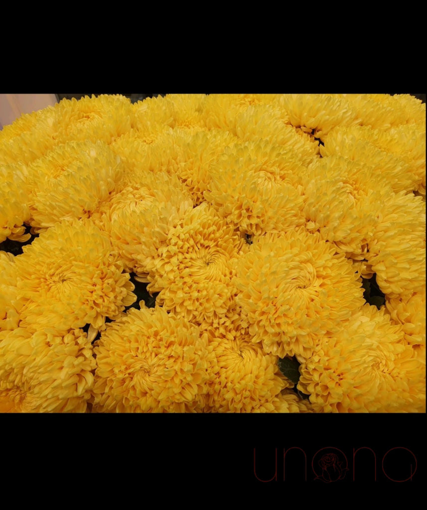 Magical Chrysanthemum Bouquet Flowers