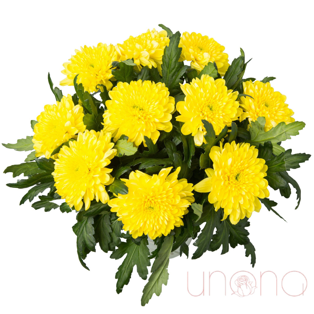 Magical Chrysanthemum Bouquet Flowers