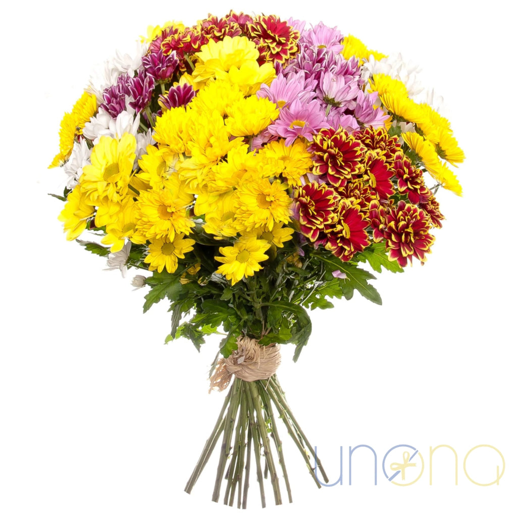 Miracle Touch colorful chrysanthemum bouquet – Ukraine flower delivery