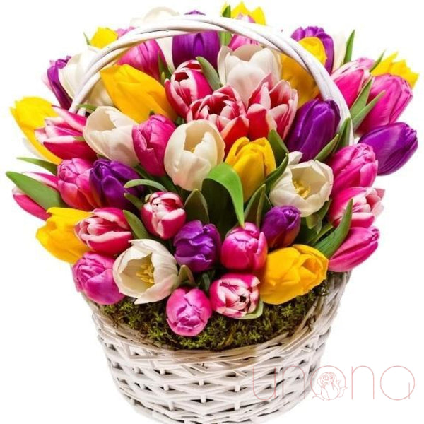 Multicolored Tulips Basket | Ukraine Gift Delivery.