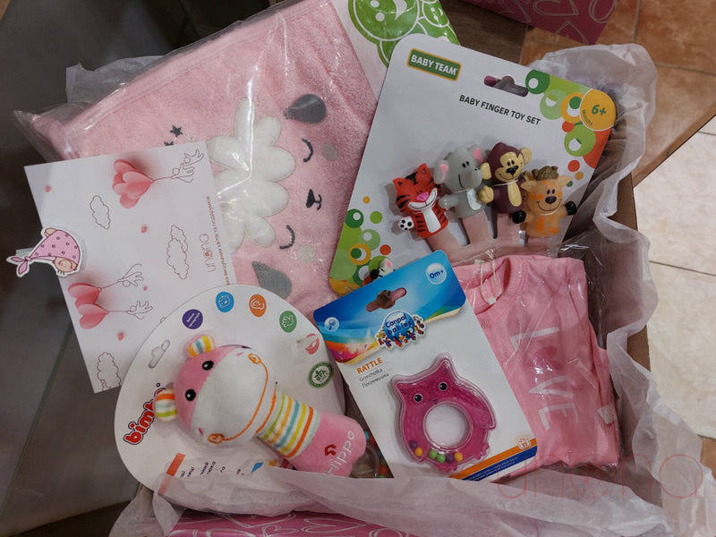 Newborn Baby Gift Box For A Girl Toys