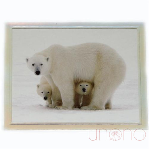 Polar Bear Christmas and New Year Card | Ukraine Gift Delivery.