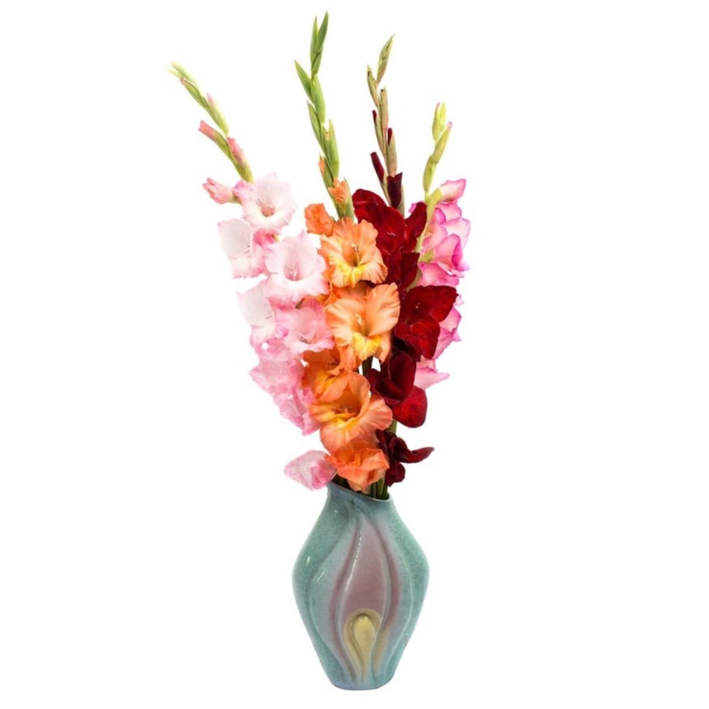 Prettiness bouquet of 5 gladioluses – flower delivery Ukraine