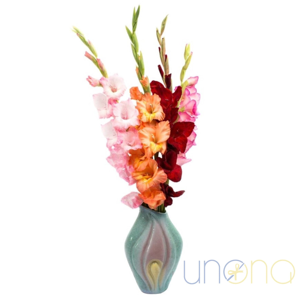 Prettiness bouquet of 5 gladioluses – flower delivery Ukraine