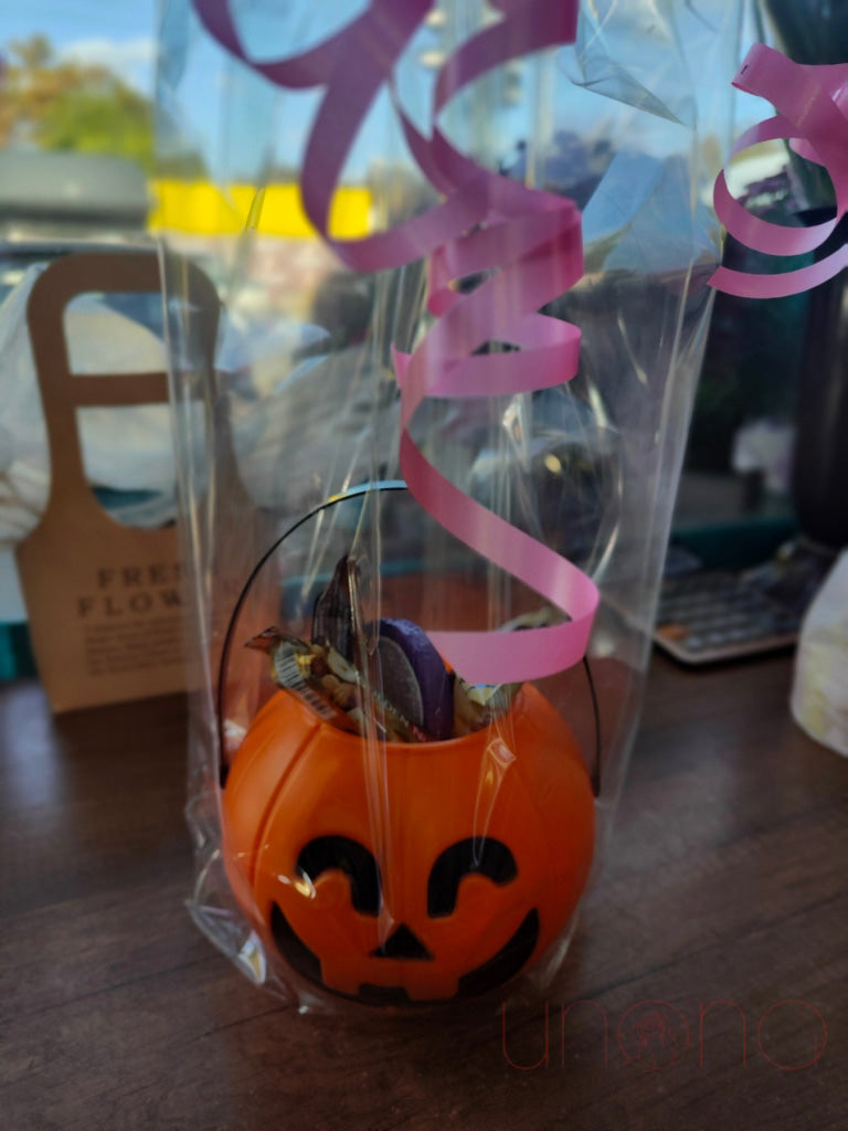 Pumpkin Bucket For Treats Toys