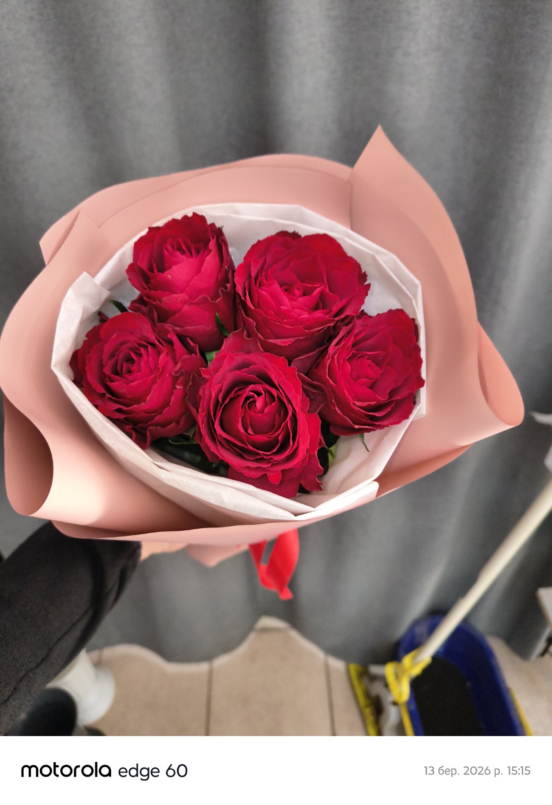 Romantic gift delivery with fresh red roses and greeting message
