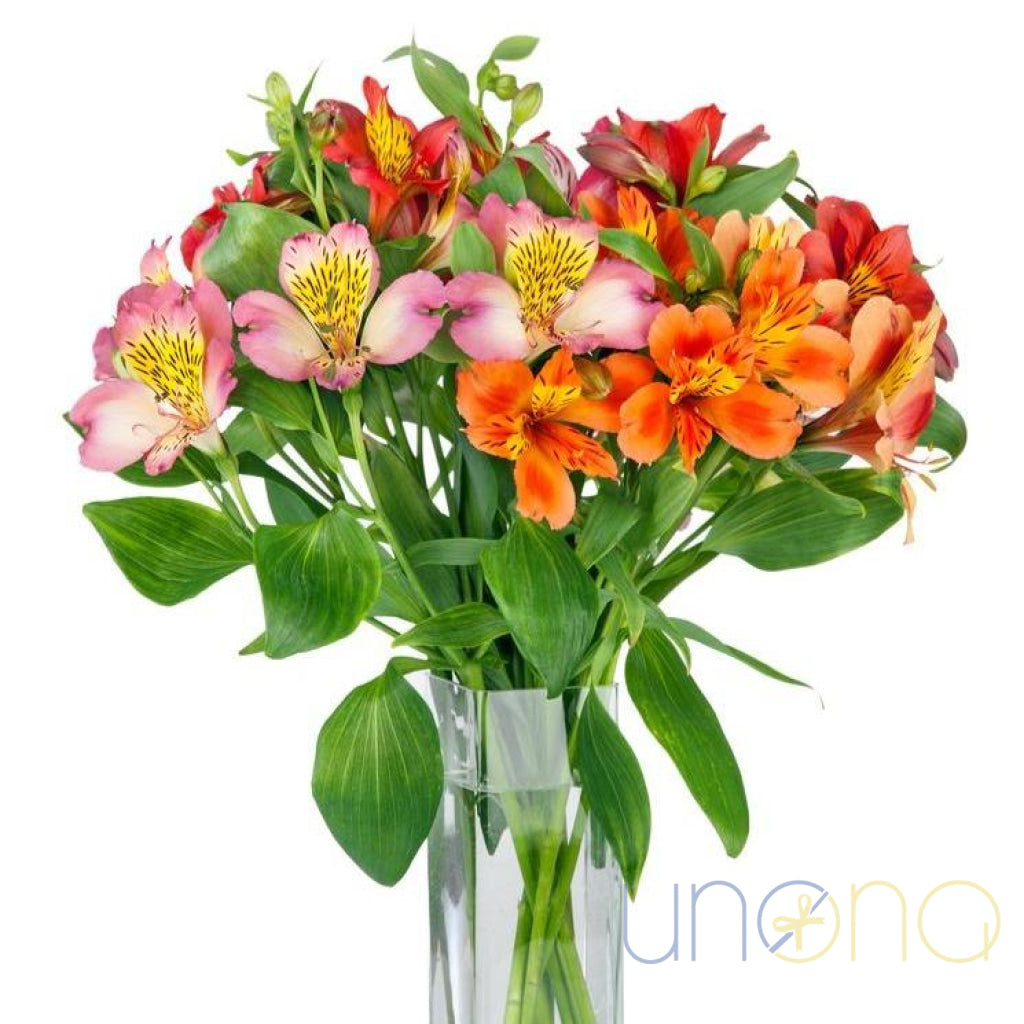 Shades of Joy Bouquet with 7 alstroemerias – flower delivery Ukraine