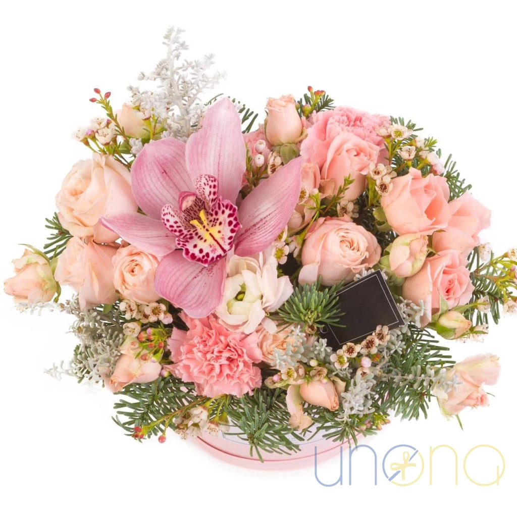 Snowy Chiffon Bouquet in gift box with blush roses, orchid and winter greenery