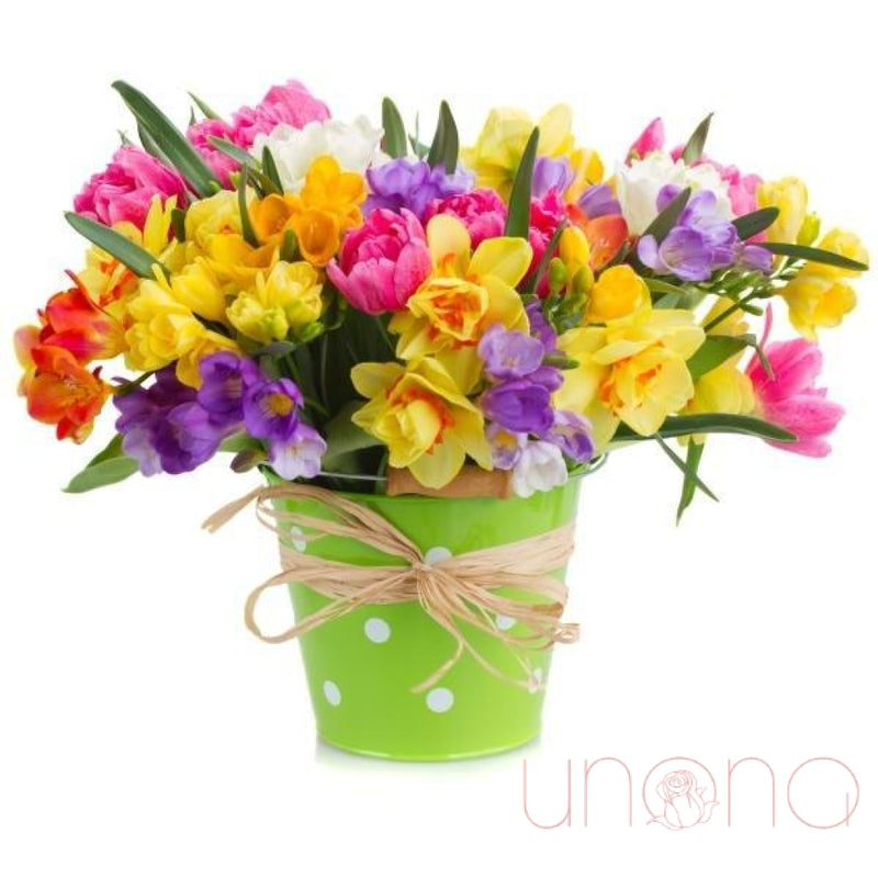 Spring Rainbow Bouquet | Ukraine Gift Delivery.