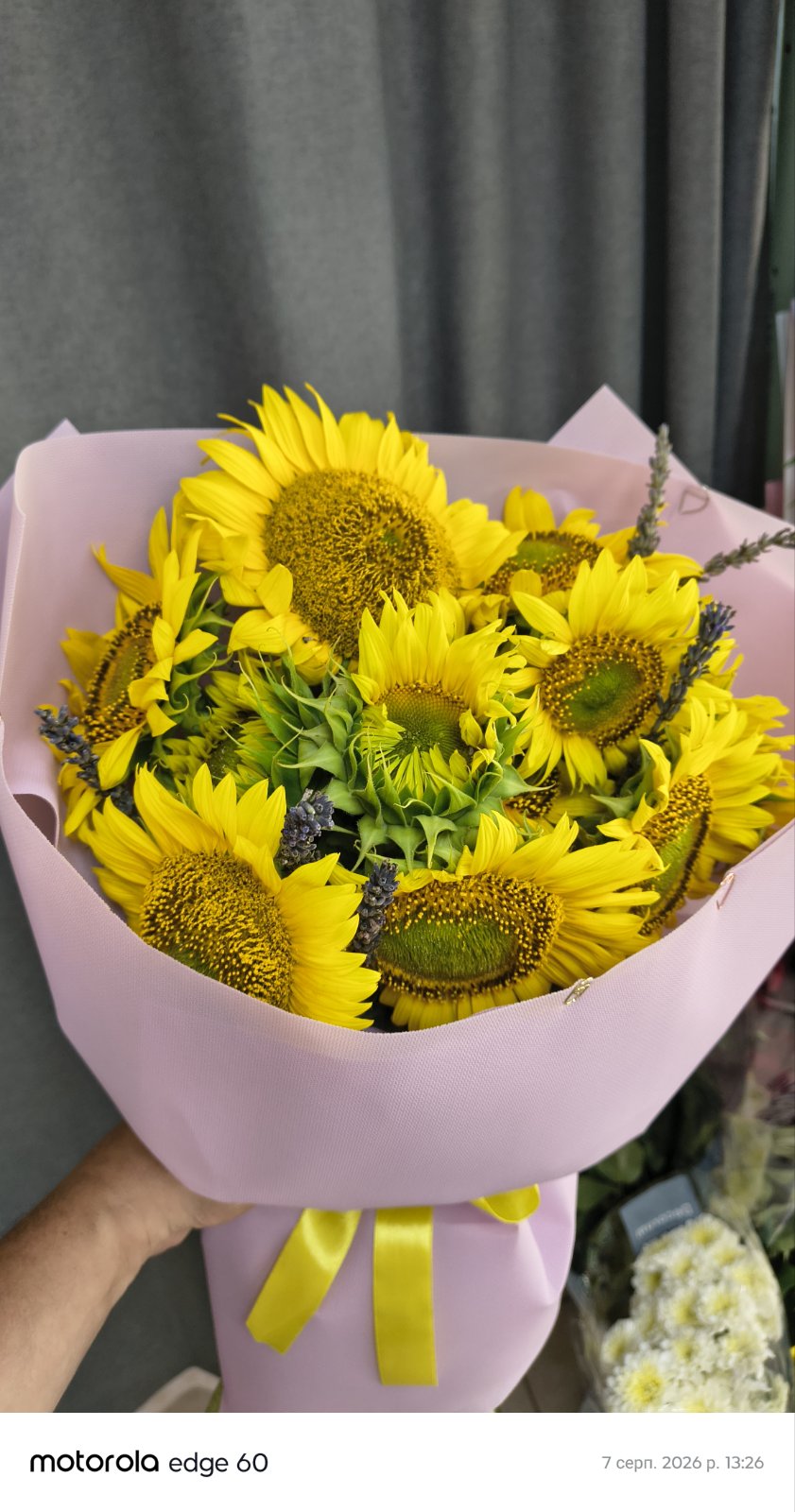 11 sunflower bouquet delivery in Ukraine
