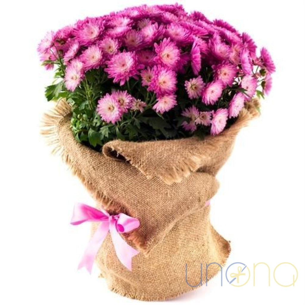 Sweet spray chrysanthemum bouquet for delivery in Ukraine