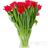 Tempting Tulips Bouquet | Ukraine Gift Delivery.