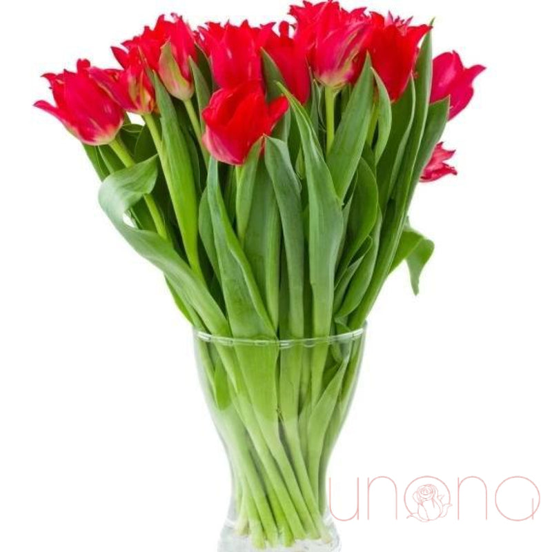 Tempting Tulips Bouquet | Ukraine Gift Delivery.