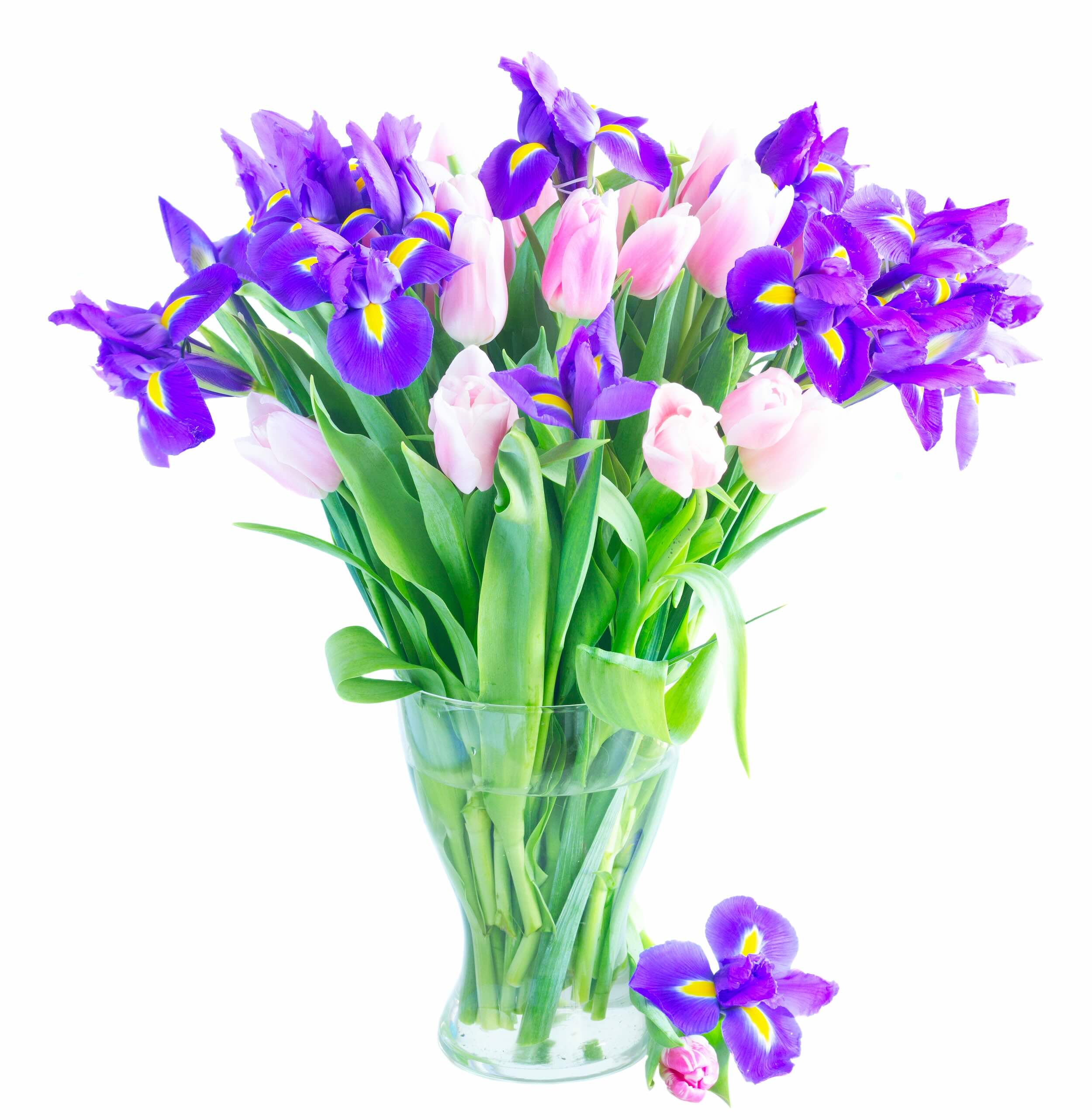 Spring Charm bouquet pink tulips purple irises Ukraine