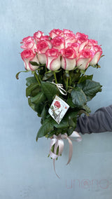 Vulcanic Passion Bouquet Pink / Premium (Imported From Holland) By Holidays